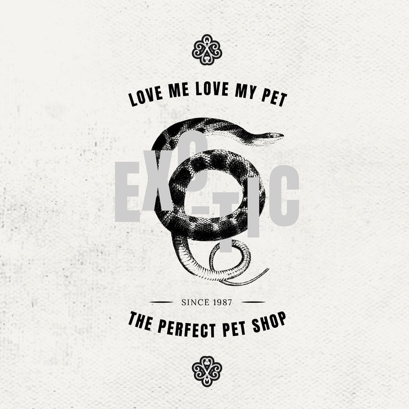 复古宠物店矢量蛇标志商业徽章