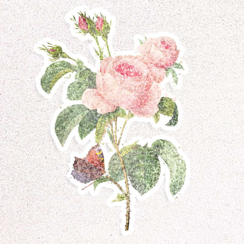 闪亮的卷心菜玫瑰贴纸覆盖白色边框设计资源