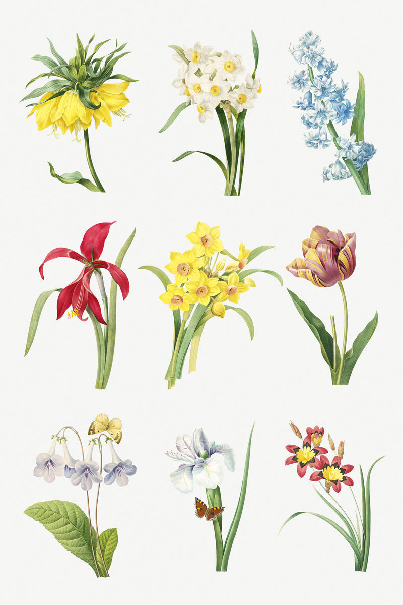 绽放花朵贴纸设计元素套装