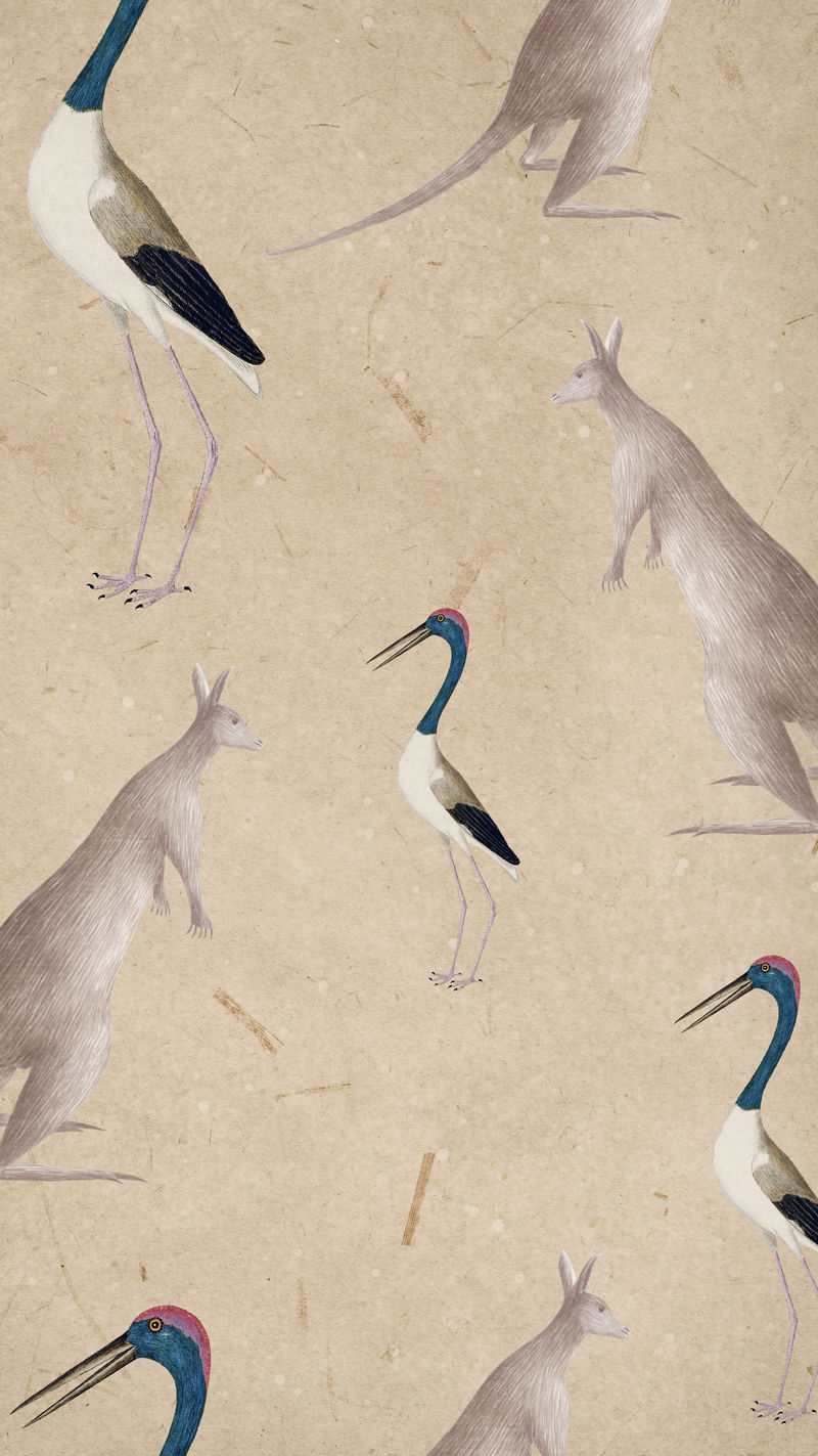 鸟和袋鼠复古无缝图案背景插图