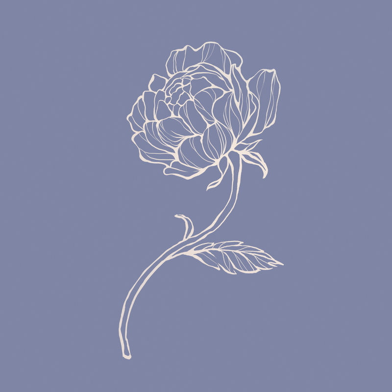 靛蓝背景上的金牡丹花