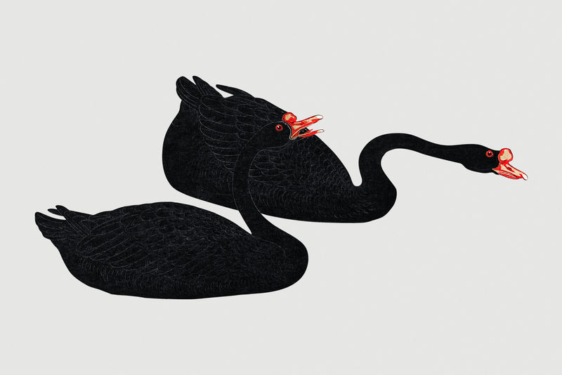 黑雁夫妇设计元素