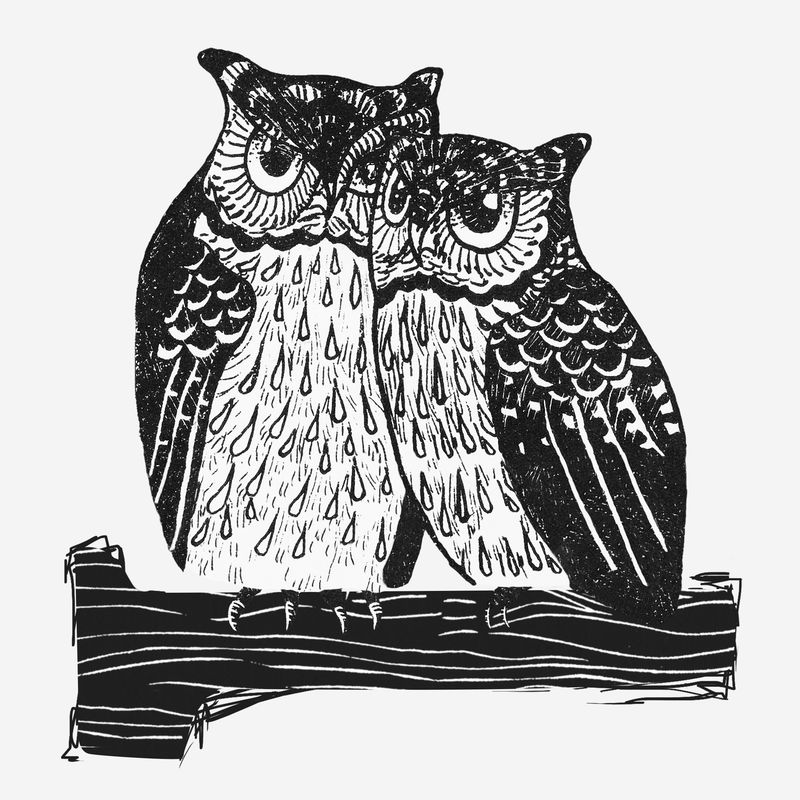 复古猫头鹰柱上psd艺术印刷品由西奥·范·霍伊泰玛(Theo van Hoytema)的艺术作品混合而成