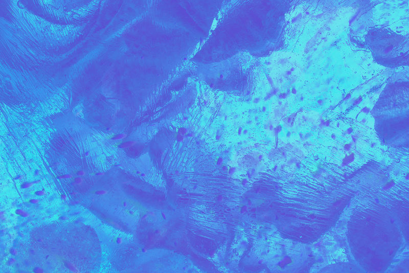 抽象蓝色背景插图