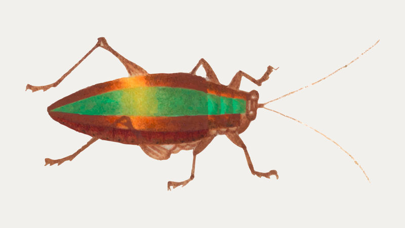 单金属矢量复古图