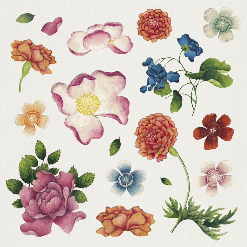 复古中国花卉psd套装张若爱艺术作品混音