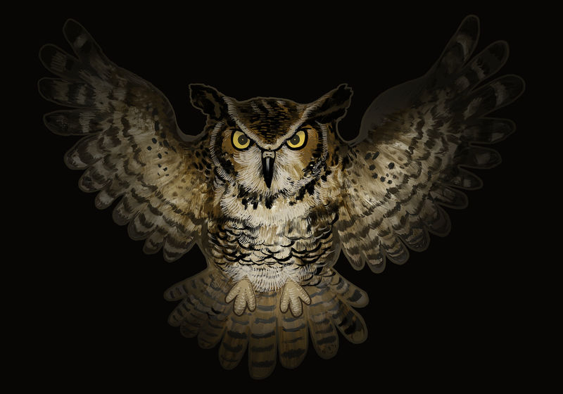 万圣节猫头鹰图标矢量图