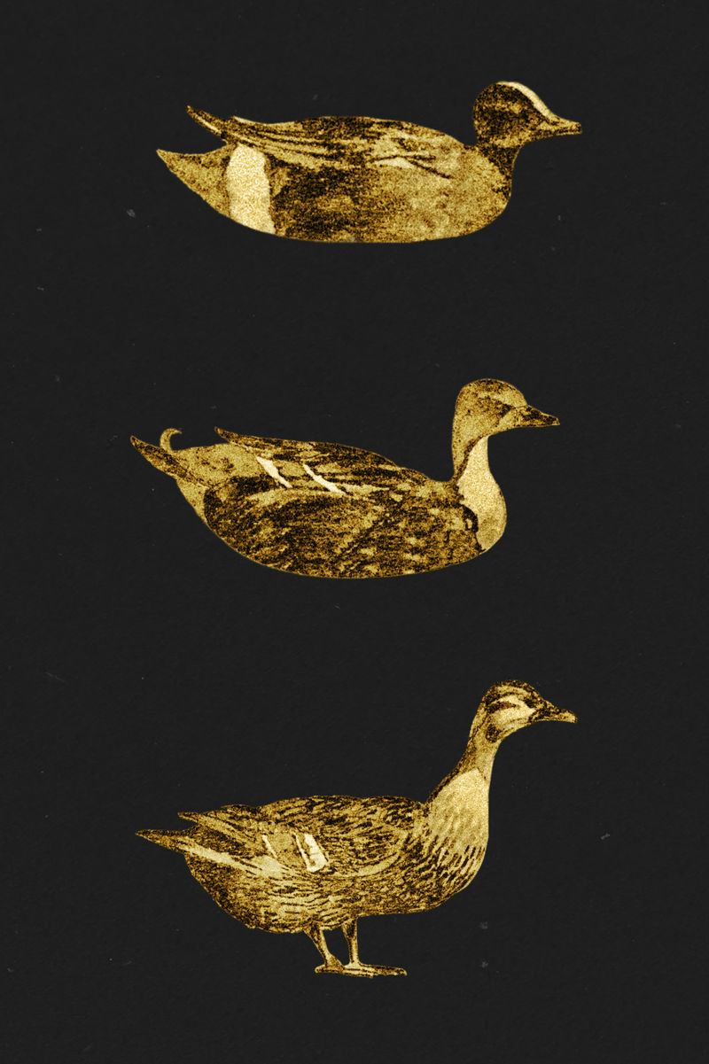 复古金鸭系列设计元素