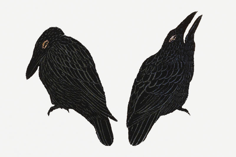 复古乌鸦艺术印刷品由西奥·范·霍伊泰玛的作品混合而成