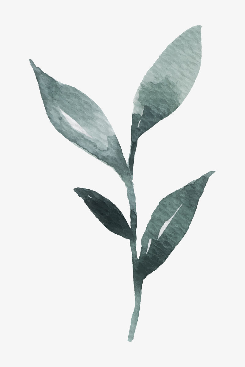 手绘水彩绿叶矢量