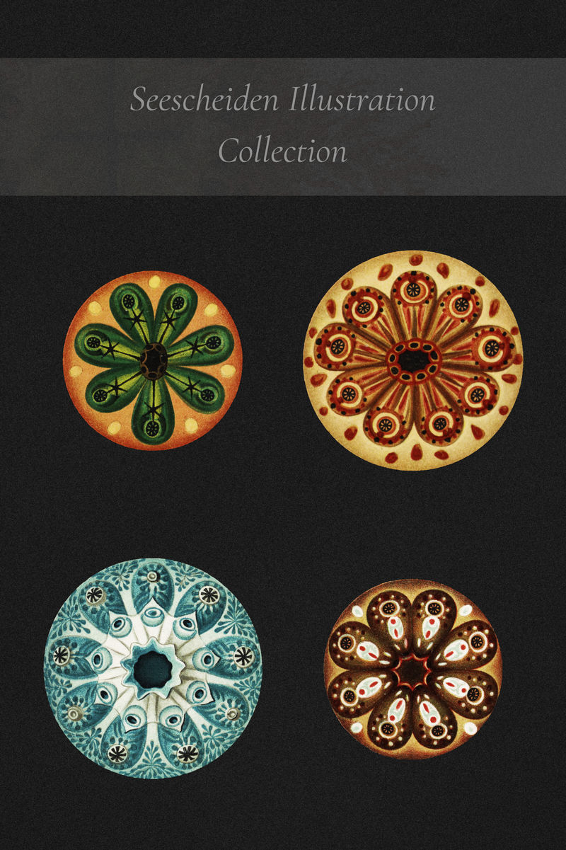 复古海洋生物插图集