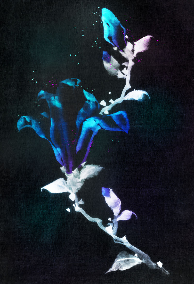 绽放的花朵复古墙面艺术印刷海报设计混搭自Katsushika Hokusai原创作品