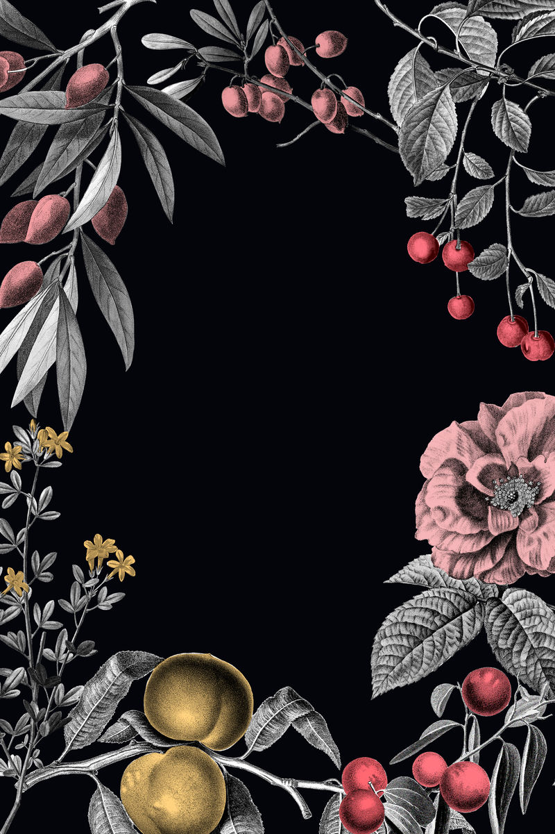 玫瑰色框架复古花卉插图和黑色背景上的水果