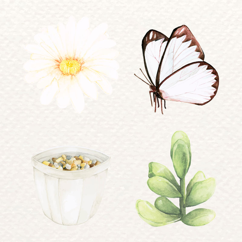 蝴蝶与多汁向量集