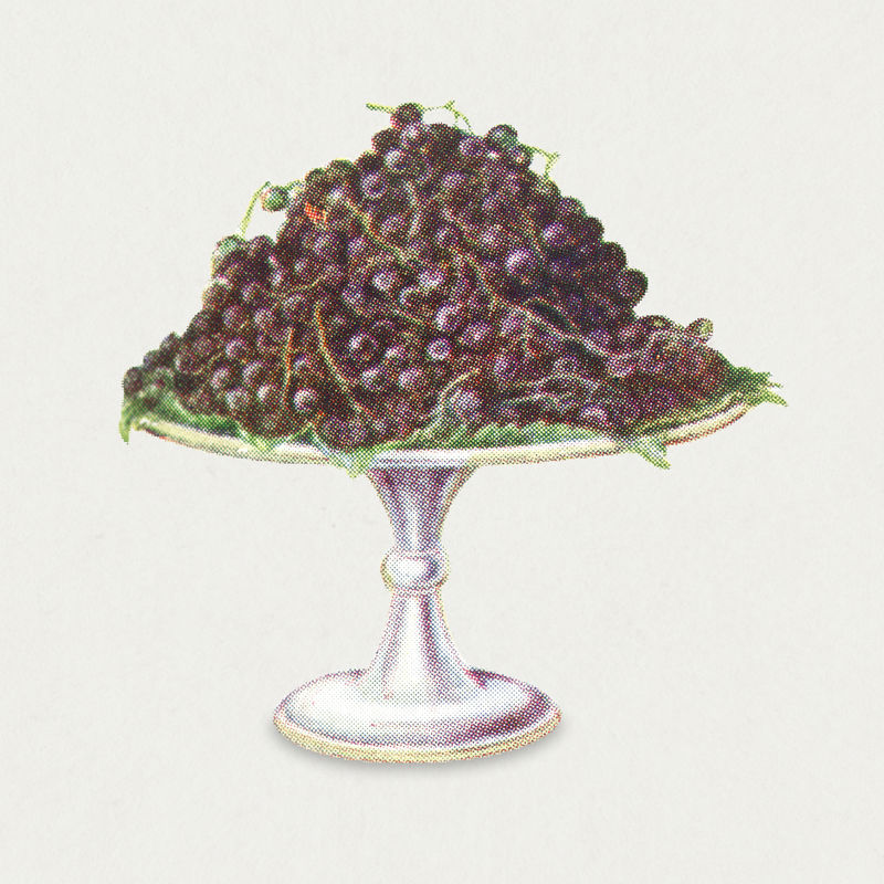 复古手绘黑醋栗设计元素