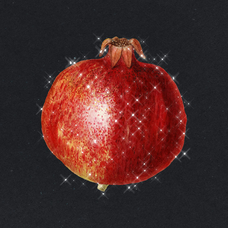 手绘石榴设计元素插图