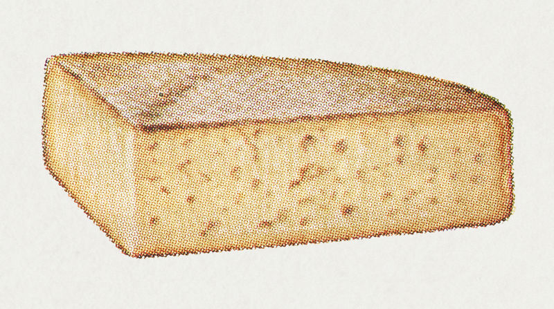 复古手绘礼炮港设计元素