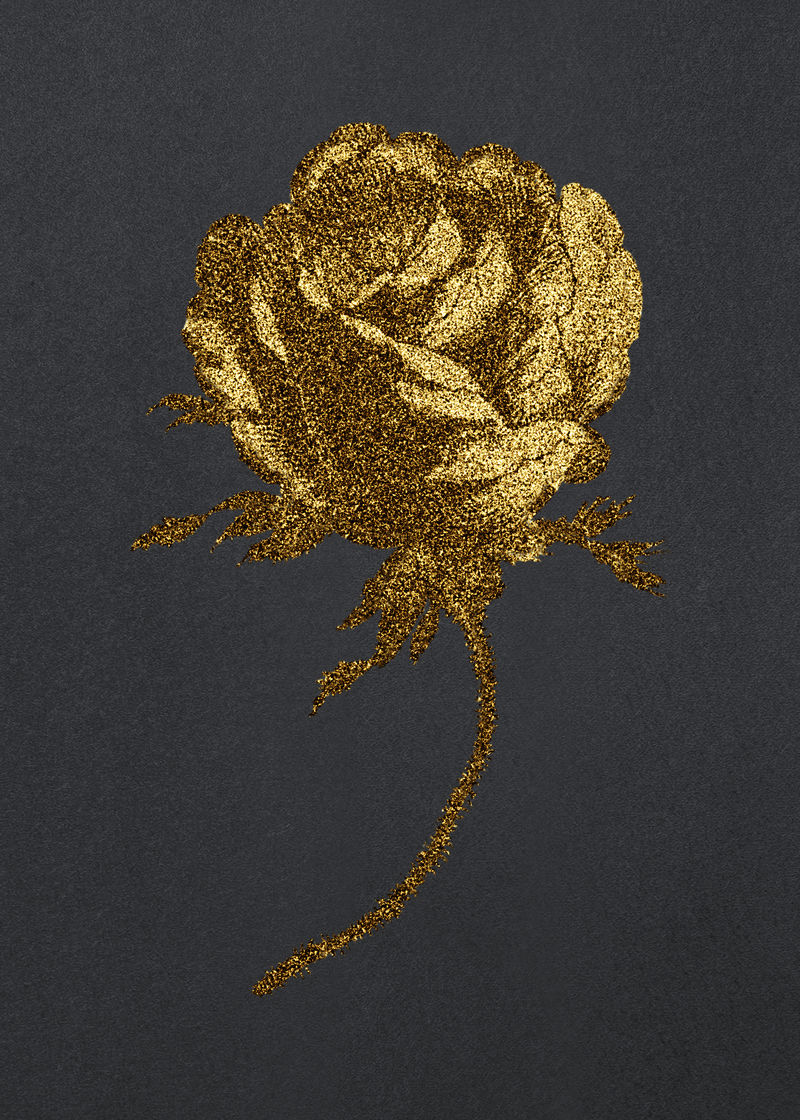 复古金色卷心菜普罗旺斯玫瑰花设计元素