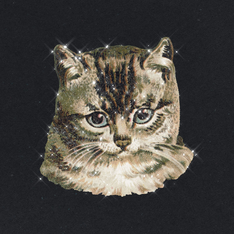 手绘闪亮猫设计元素