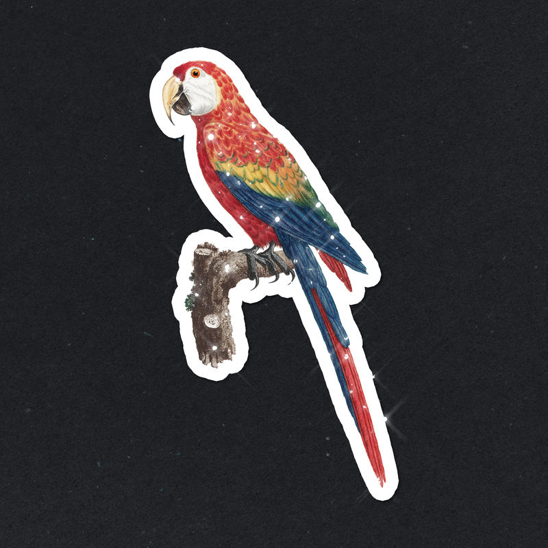 带白色边框的手绘闪亮Araracanga贴纸