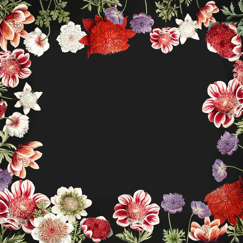 手绘红色海葵花架带设计空间