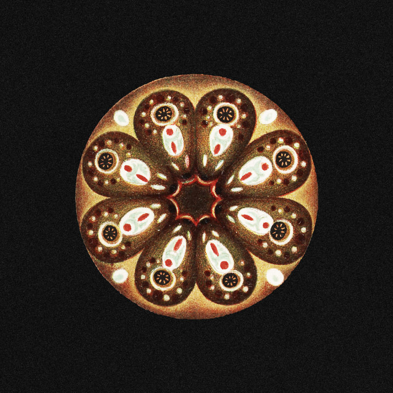 彩色复古被膜装饰