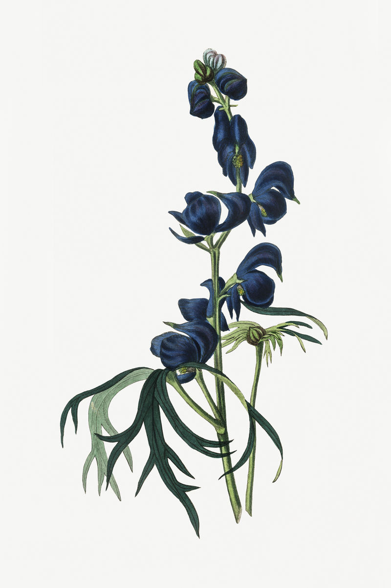 古董药僧';s罩psd设备示意图