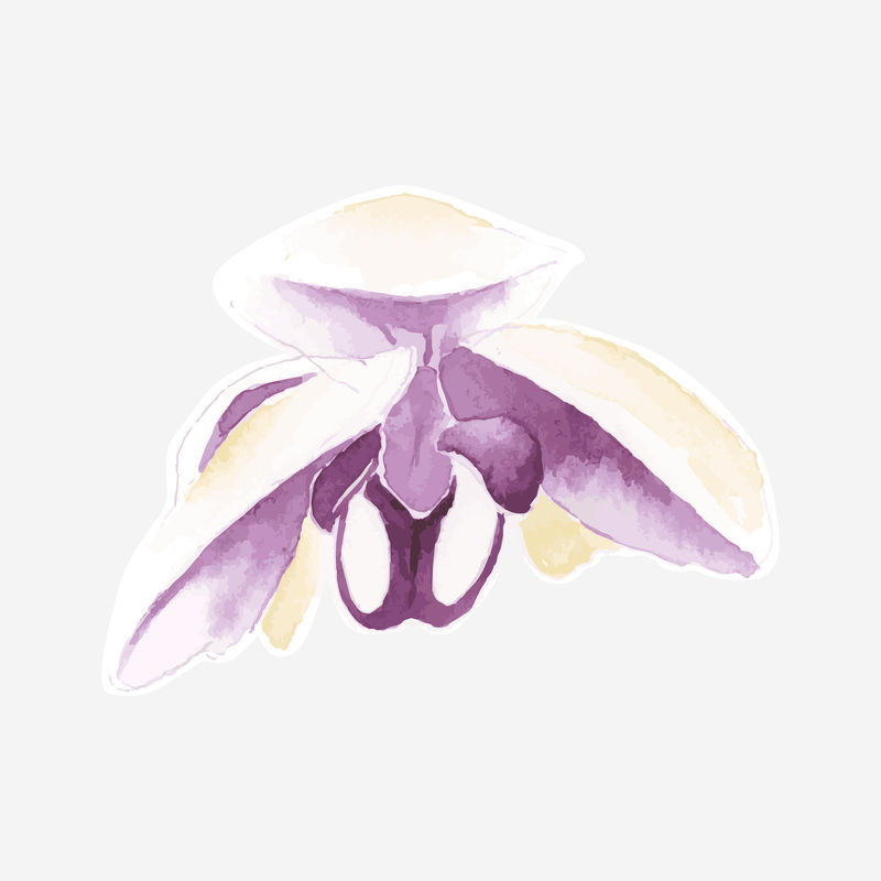 水彩紫色兰花psd手绘贴纸元素