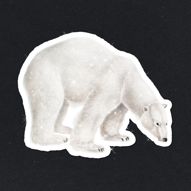 白色边框手绘闪亮北极熊贴纸