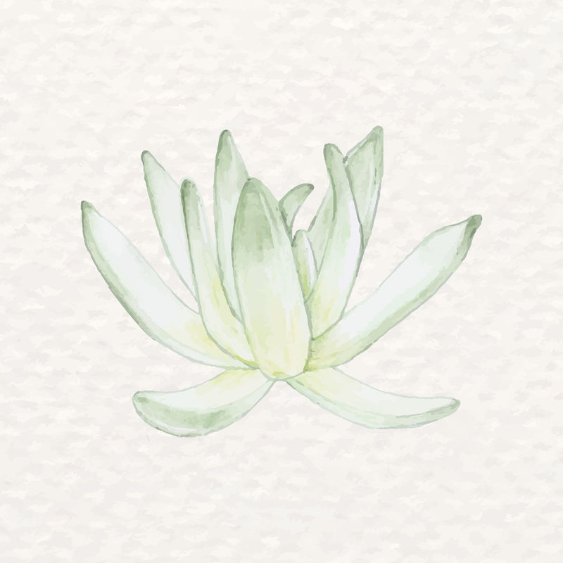 沙漠多汁水彩画