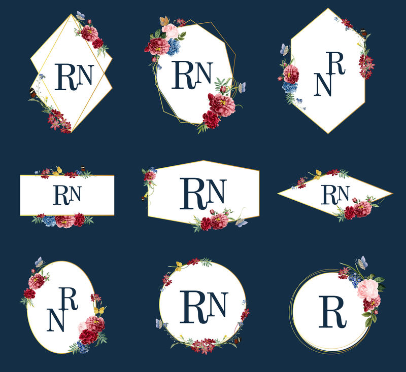 花卉框架插图集