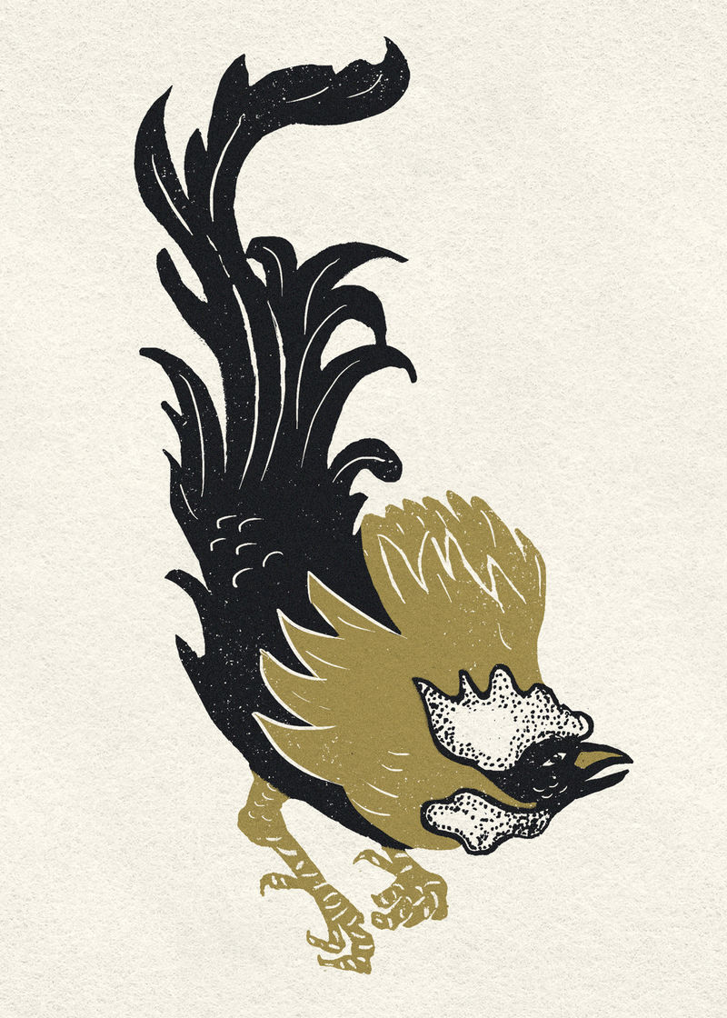 金黑公鸡psd动物复古剪贴画