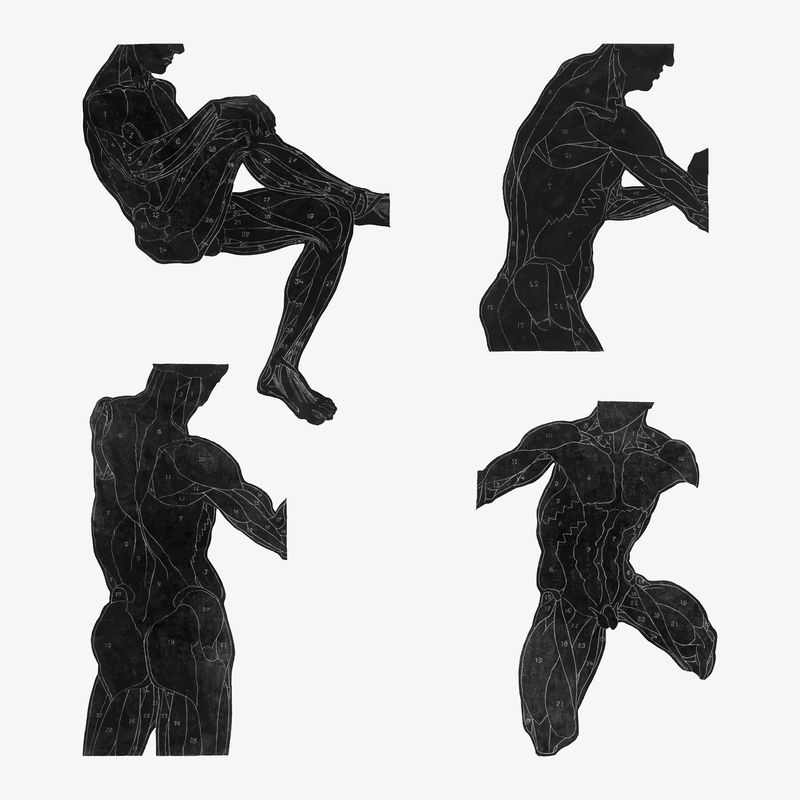 剪影印花套装中的人体解剖向量由Reijer Stolk的艺术品混合而成