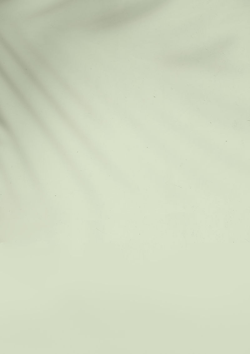 柔和的绿叶阴影psd平原背景社会旗帜