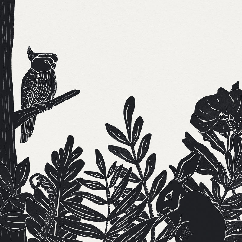 复古野生动物框架psd花卉丛林背景