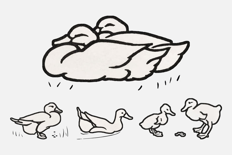 复古鸭子动物标志psd复古系列