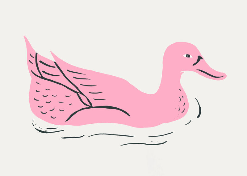 粉色游泳鸭矢量鸟复古模板