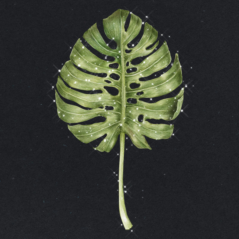 铅笔色的怪物在黑色背景插图上画有闪闪发光的叶子