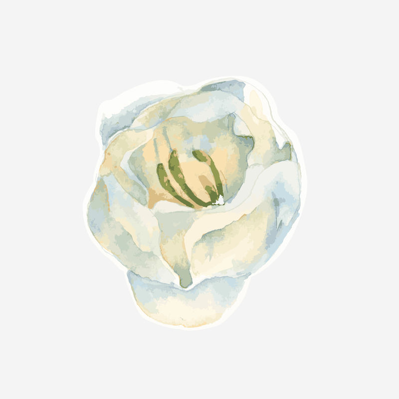 白色花卉矢量水彩装饰贴纸