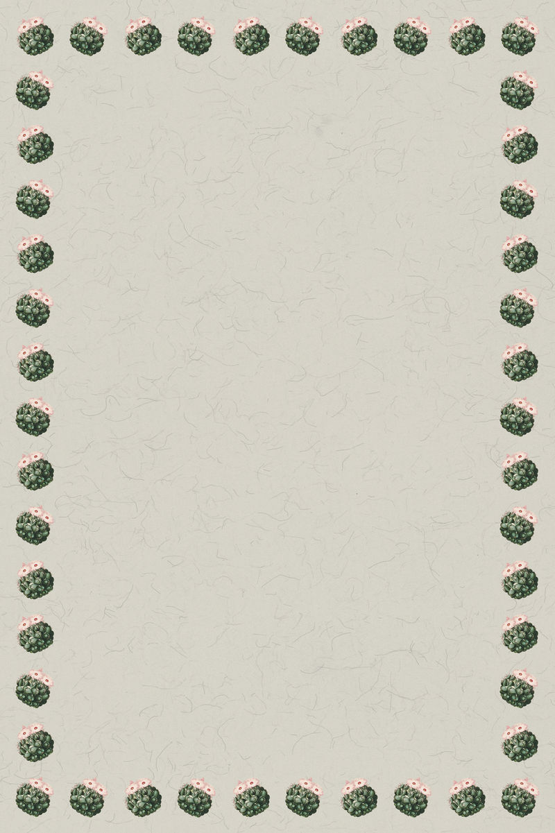 复古绿色仙人掌与花边框架上的纹理纸设计元素