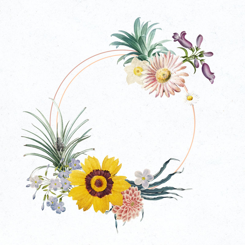 夏季花架psd手绘插花