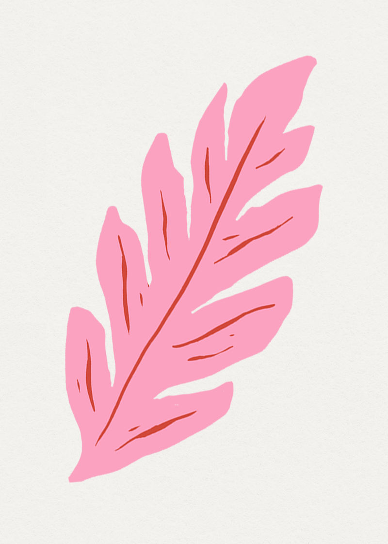 粉红叶psd linocut复古花卉剪贴画