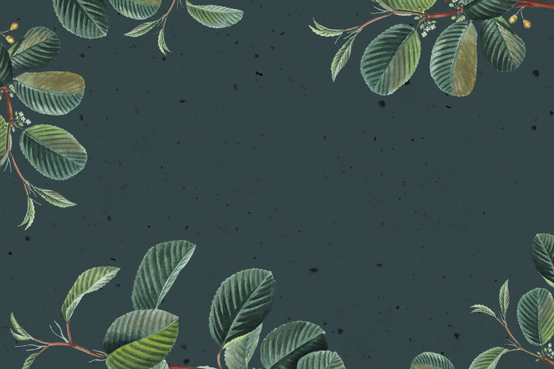 复古绿叶框架背景插图