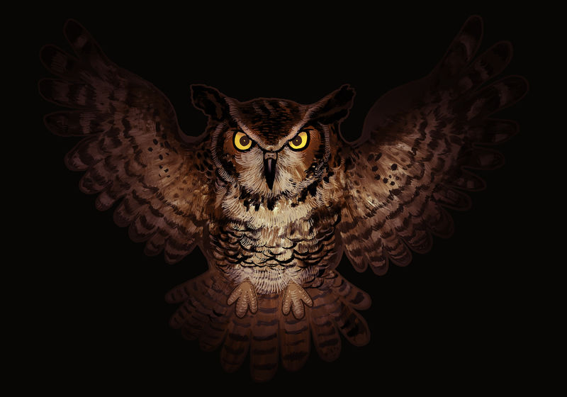 万圣节猫头鹰图标矢量图