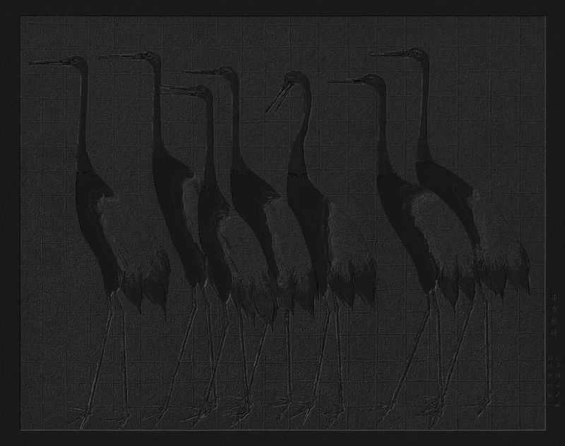 日本红冠鹤复古插图原作混音