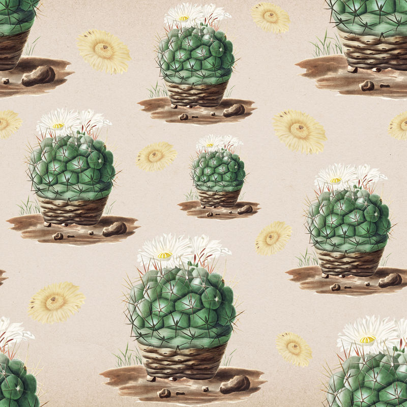 复古绿色仙人掌花卉插画图案背景