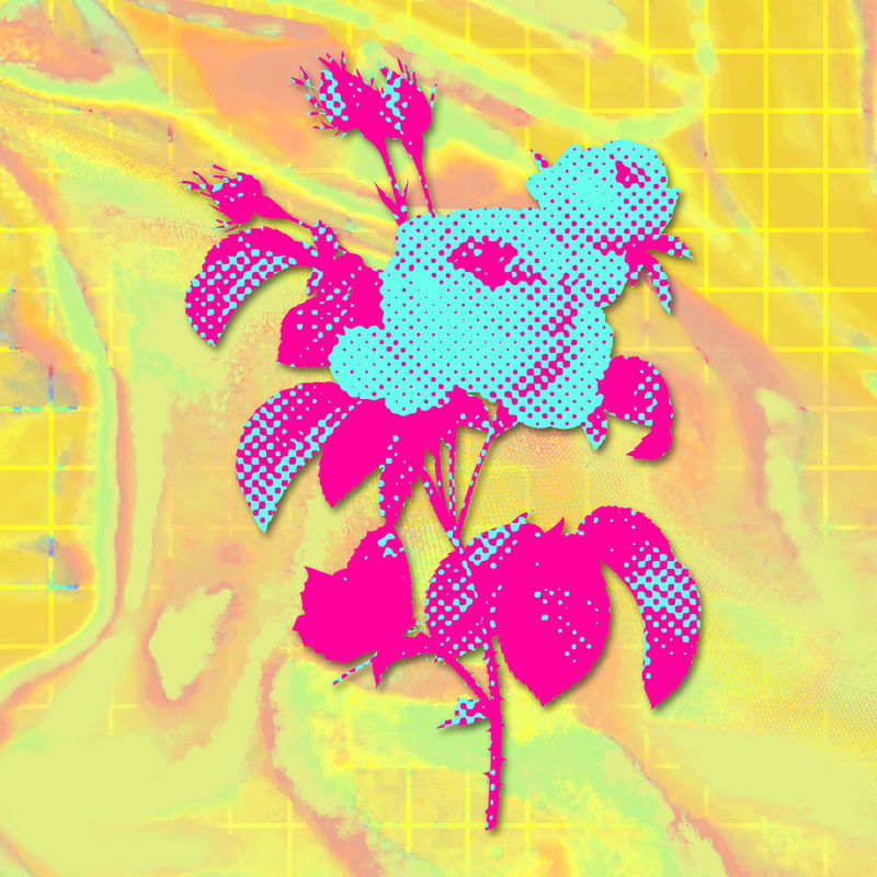 手绘时髦的英国玫瑰色半色调风格插图