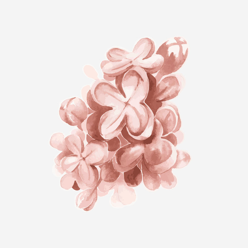 水彩丁香矢量手绘贴纸元素