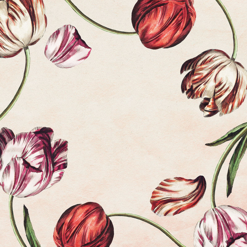 奶油色背景上的复古郁金香花架设计元素