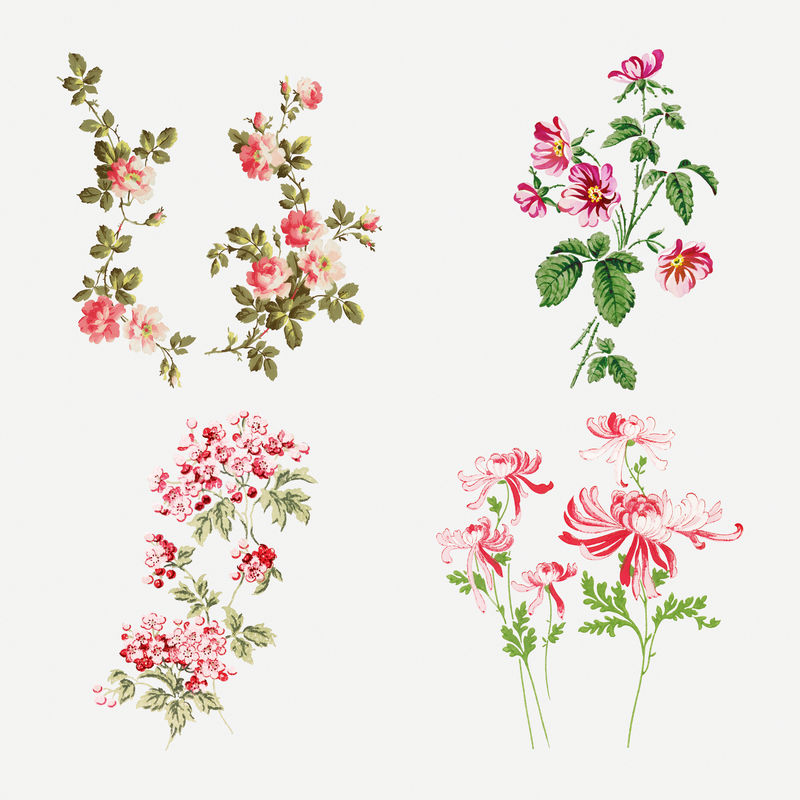 Psd彩色花朵复古剪贴画套装